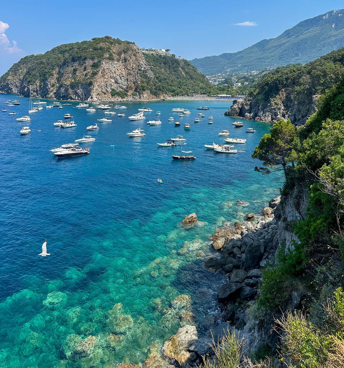 Tour Ischia